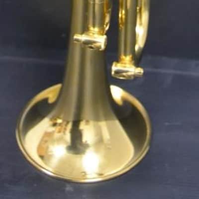 Trompeta Sib Stomvi Master Titanium muy buen estado. image 13