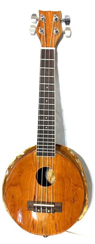Turtle Shell Concert Ukulele image 1