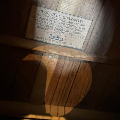 Blue bell Dreadnought LH image 3
