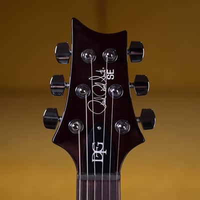New PRS SE DGT Standard - Gold Top image 5