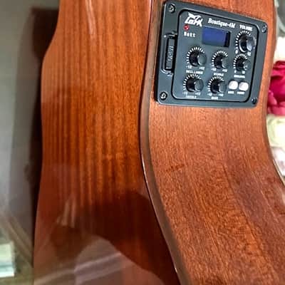 Cathedral 10 string clasical guitar 2013 with midi pickup image 2