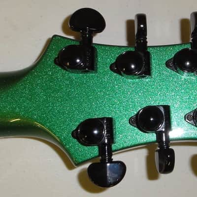 Fernandes Ravelle DK Dave Kushner Signature Velvet Revolver Case Factory Sustainer image 5