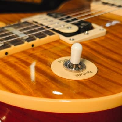 Gibson Les Paul Standard Appetite For Destruction Limited Edition 2010 - AFD image 18