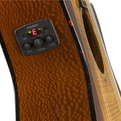 Fender : FA-345CE Auditorium LRL 3-Tone Tea Burst image 7