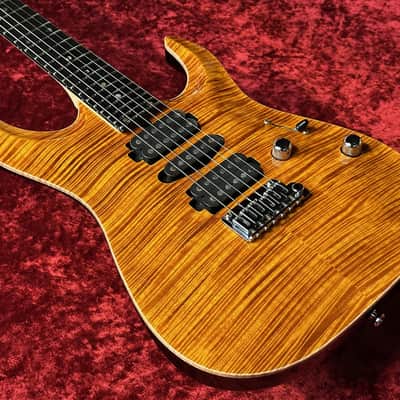 T's Guitars DST-24 Carved Top [Made in Japan] [GSB019] image 3
