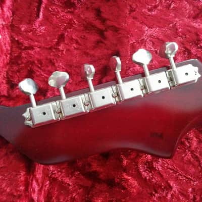 Echopark Ghetto Bird 2016 Case Study 2016 w/OHSC New Condition image 9