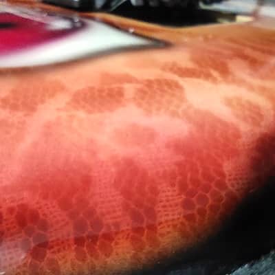 Kramer baretta 1988 - Kline Octopus - 1 of a kind image 13
