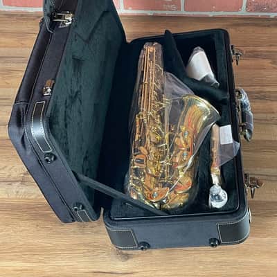 Yanagisawa A-WO1 Professional Alto Saxophone - Gold Lacquer image 14