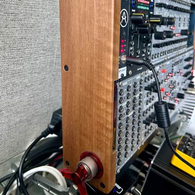 Behringer System 100 and Brains in Rackbrute Case image 4