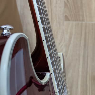 Firefly Pegasus Hollow-Body 2026 - *RARE* Flamed Maple Cherry Burst image 12