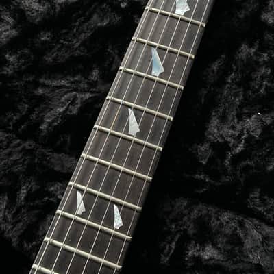 Jackson USA Custom shop One Off NAMM 2010 Dan Lawrence Paintjob image 4