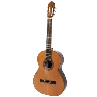 Raimundo 118 Classical Guitar image 1