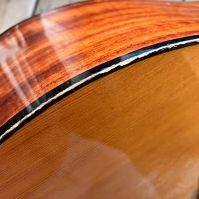 Kay K 550 70s 6 String Acoustic Guitar Body Made By Eko in Italy image 23