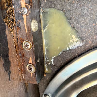 1968-69 Fender Twin reverb vintage JBL speaker amp cabinet •VIDEO• image 15