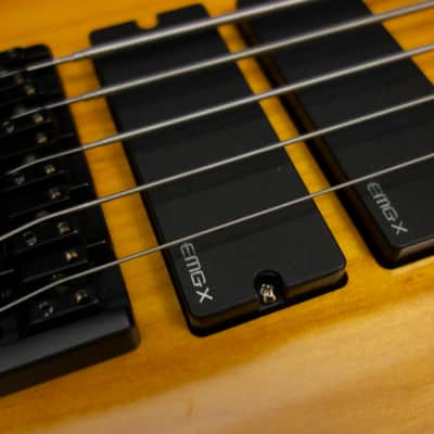 G.Gould GGi5 SST Hybrid Graphite/Maple Composite neck - Alder body - Amber finish - Pao Ferro Fretboard - 8.6 pounds - #1513 image 13