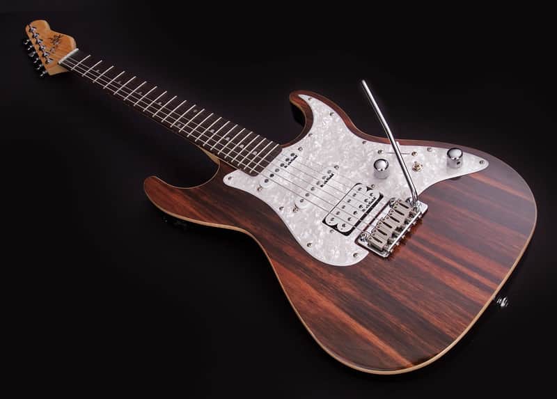 Michael Kelly MK65CSEPRB Custom Collect. 1965 Striped Ebony Top Maple Neck 6-String Electric Guitar image 1