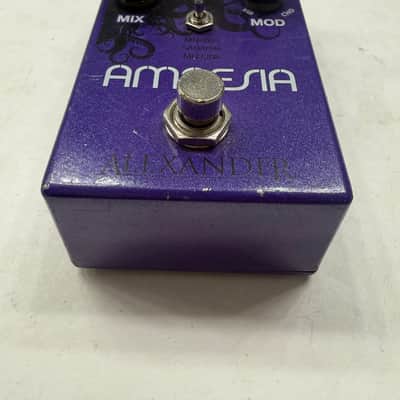 Alexander Pedals Amnesia Analog Delay Echo Modulation Guitar Effect Pedal image 3