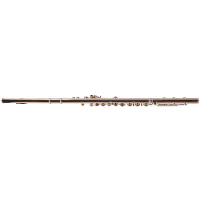 William S. Haynes Custom 14K Gold Flute with Gold Toneholes, Offset G, C# Trill image 6