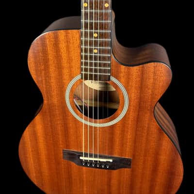 James Neligan DEV-ACFI Deveron series, Auditorium Electro Acoustic Guitar image 5