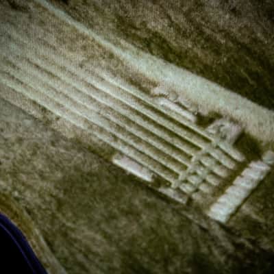 Ibanez AR5000-AV Artist 1981 image 24