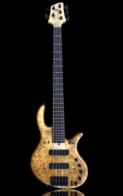 Elrick EVO Gold 5 String Horse Chestnut 2024 - Natural image 1