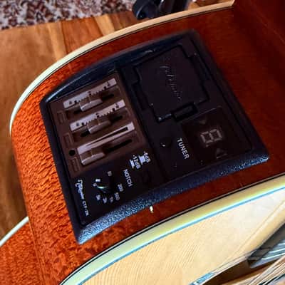 Takamine LTD 2023 NEX/C Santa Fe 30th Anniversary incl. softcase + NEW image 9