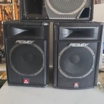 Peavey SP-5 Peavey 400W RMS (1600W Peak) 15" Concert /PA Speaker  Exc Condtn! image 6