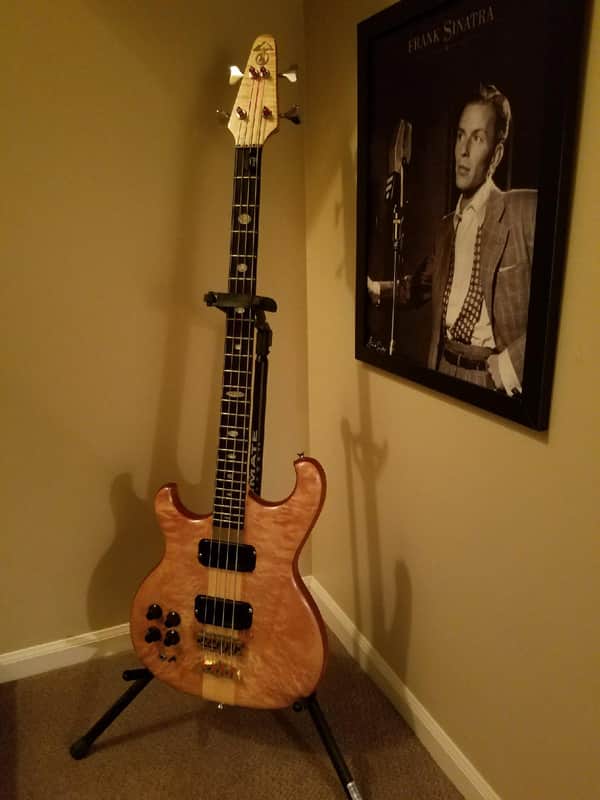 Alembic Spoiler (lefty) image 1