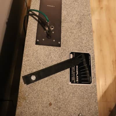 Ecoplate II Plate Reverb (rare and incredible like EMT 140!) image 3