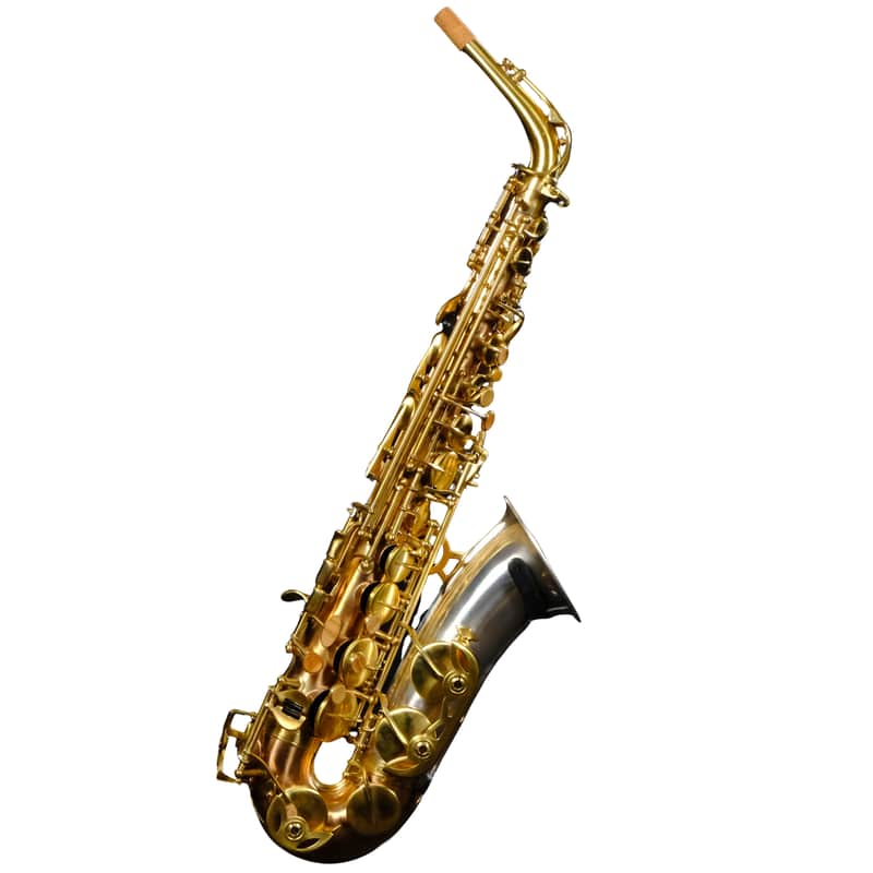 Rampone & Cazzani Two Voices Alto Saxophone - Bronze - 2006/TV/BRS