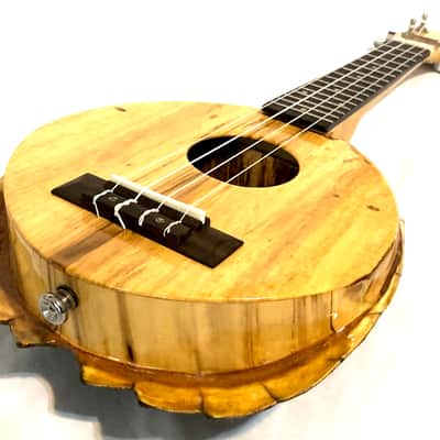 Turtle Shell Soprano Ukulele image 8