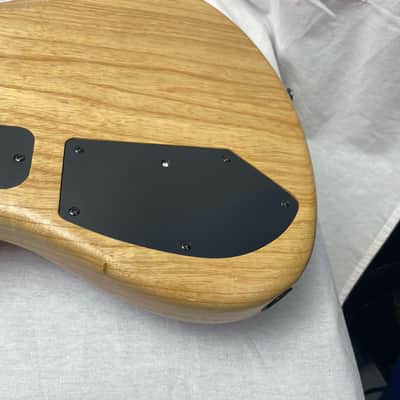 Roscoe USA Century VI 6-string Bass - 2012 image 20