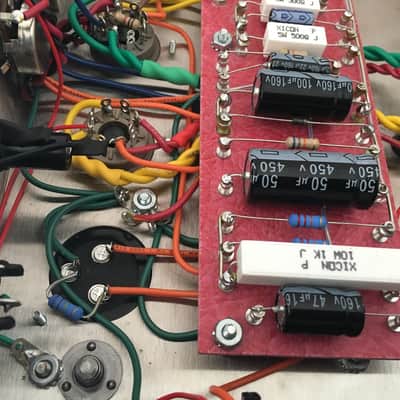 Trinity TripTop (Ampeg B-15 Clone) image 12