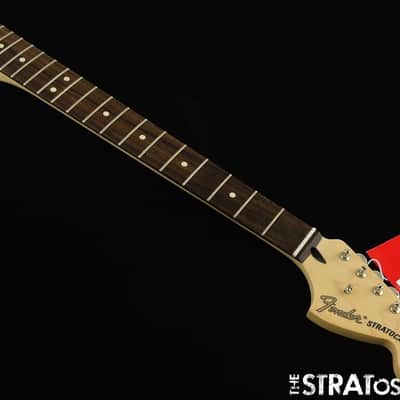 Fender Tom Delonge Stratocaster Strat, NECK + TUNERS, image 2