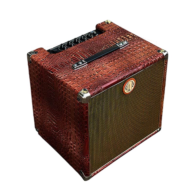 Ashen " Croco Mighty500" BG500 1x12" Custom Portable Bass Combo Amp image 1