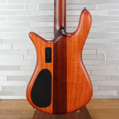 Spector Euro 4 RST - Sienna Stain image 2