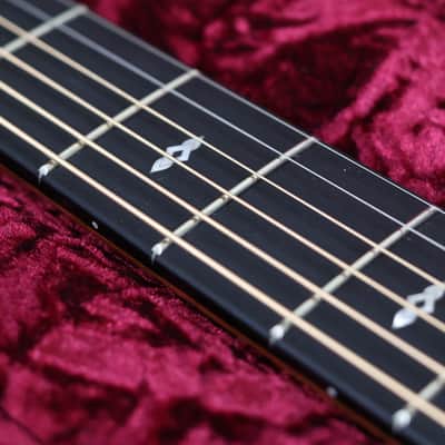 Taylor 50th Anniversary 217e-SB Plus LTD | Sunburst image 14