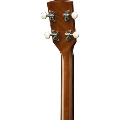 Ibanez Performance Series PFT2 Tenor Acoustic Guitar, Rosewood Fretboard, Natural High Gloss image 9
