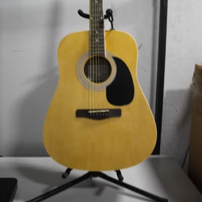 Zager Easy Play ZAD01PK N Acoustic Guitar image 1