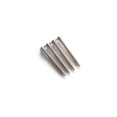Guitar Neck Plate Screws - Chrome x4 image 4