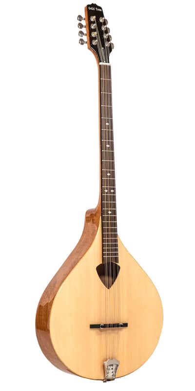Gold Tone BZ-500 Irish Bouzouki Mandolin with Case image 1