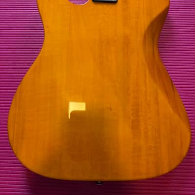 Samick Valley Arts Ray Benson Signature Series Telecaster image 11