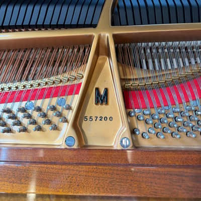 Steinway&Sons M 2000 - Walnut image 5