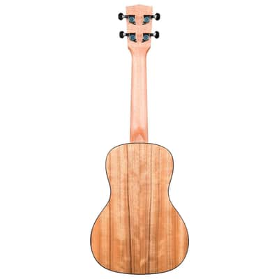 Pacific Walnut Concert Kala image 9