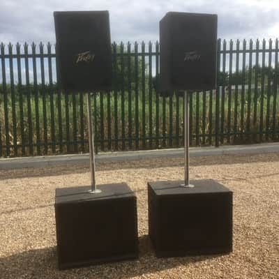Peavey Bass Flex Bins and ES12 PA Speakers image 1