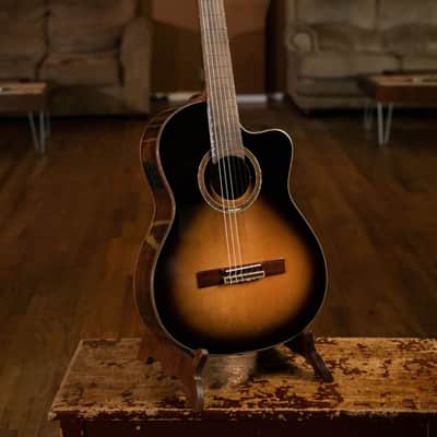 Ortega RCE158SN-TSB Performer Series Solid Spruce Top Mahogany Neck Cutaway Nylon 6-String Classical Acoustic-Electric Guitar w/Gig Bag image 12