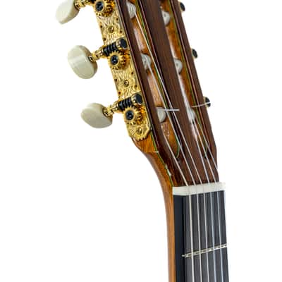 Guitarras Estevé Classical 12 - 630mm - All Solid - Spruce Top, Granadillo B&S - Handmade in Spain image 5