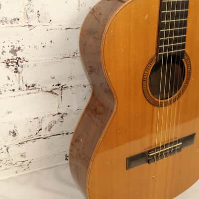 Giannini AWN60 Classical Guitar w/Hard Case image 7
