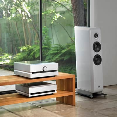 TAD E-1AX - Evolution One - 3-Way Floorstanding Speakers (Pair) - NEW! image 9