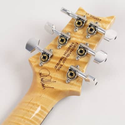 2017 PRS P22 Artist Spec, Natural image 25